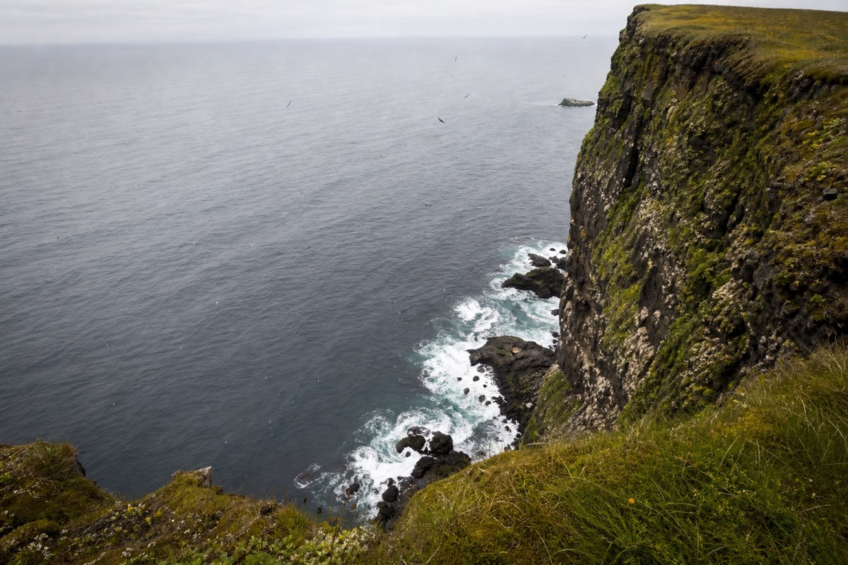 A dramatic cliffside view of the coast while driving the Ring Road in Iceland